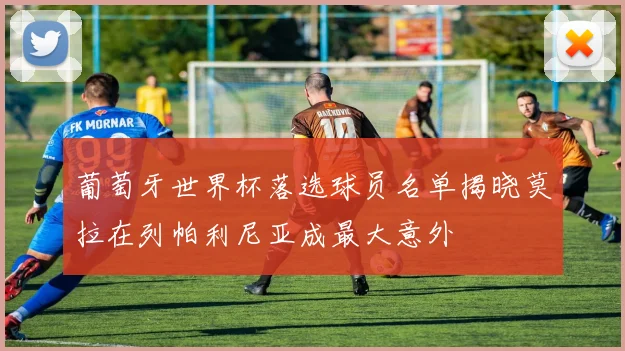 葡萄牙世界杯落选球员名单揭晓莫拉在列帕利尼亚成最大意外