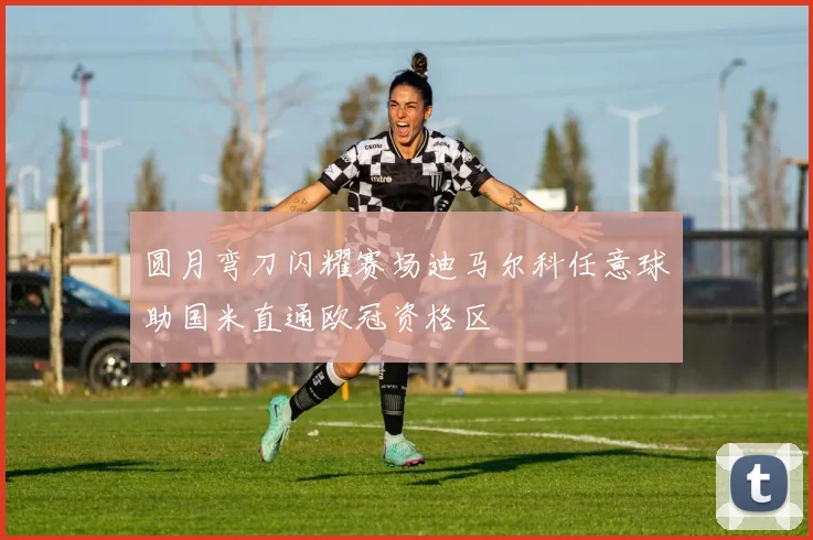 圆月弯刀闪耀赛场迪马尔科任意球助国米直通欧冠资格区