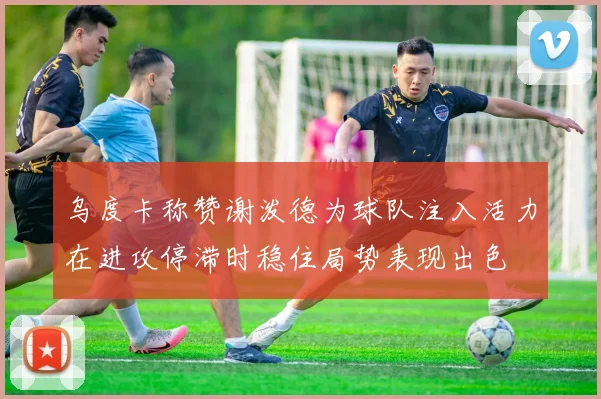 乌度卡称赞谢泼德为球队注入活力在进攻停滞时稳住局势表现出色