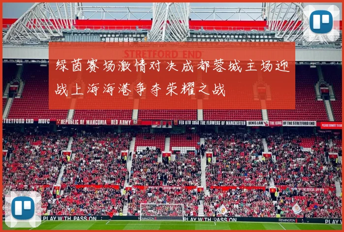 绿茵赛场激情对决成都蓉城主场迎战上海海港争夺荣耀之战